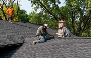 Professional roofing services