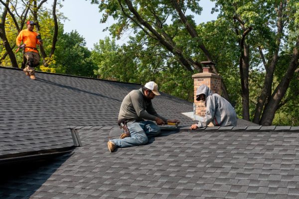 Professional roofing services