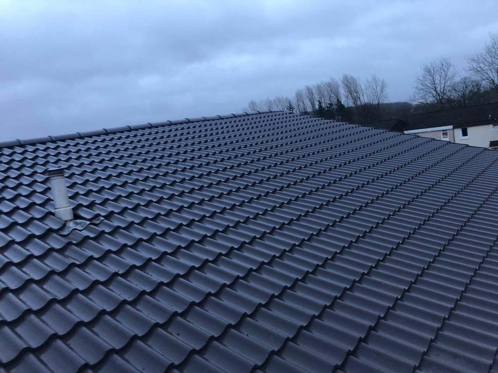 Professional roofing services